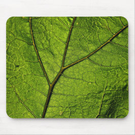 Mousepad Folha de Borboleta Verde