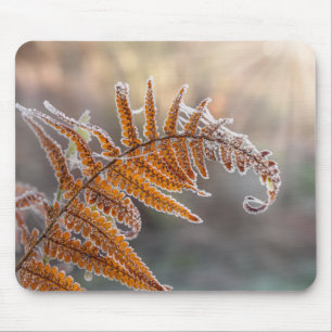 Mousepad Folha de Fern com gelo gelado numa natureza fria d