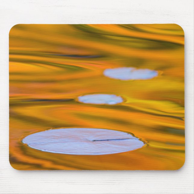 Mousepad Folha de lírio em água laranja, Canadá (Frente)