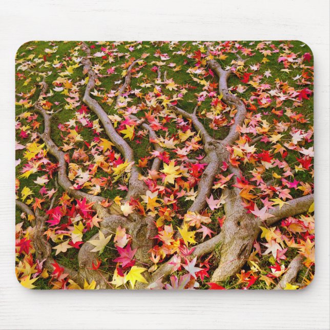 Mousepad Folha de Mapeamento Brilhante Colorida (Frente)