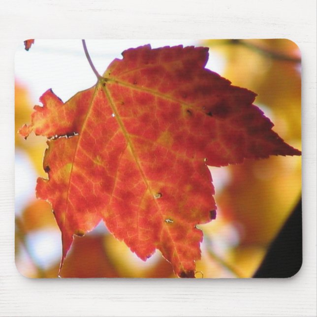 Mousepad Folha de outono (Frente)