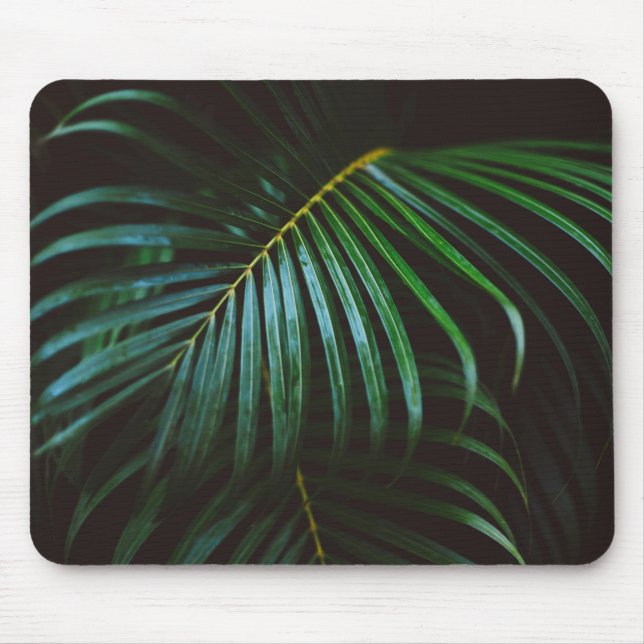 Mousepad Folha de Palma Tropical Relaxando o Calmo Verde (Frente)