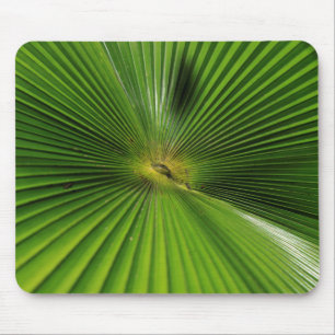 Mousepad Folha de Palmeira Gigante, Queensland