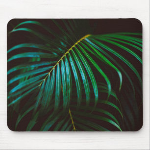 Mousepad Folha de palmeira tropical que relaxa a acalmaçã