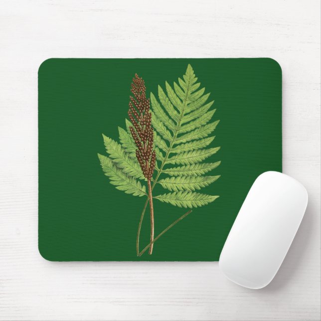 Mousepad Folha de samambaia (Fern Sensível) (Com mouse)