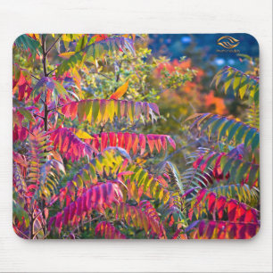 Mousepad Folha de Vermont