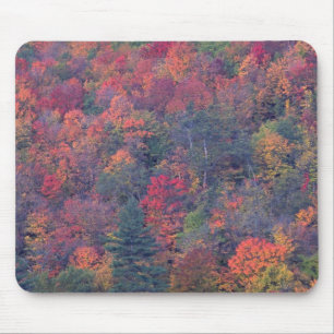 Mousepad Folha do outono de uma floresta de folhosa