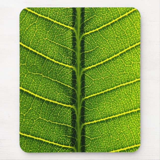 Mousepad Folha verde (Frente)
