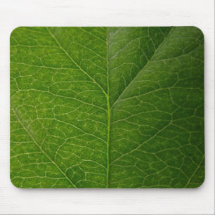 Mousepad Folha Verde
