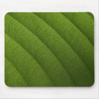 Mousepad Folha verde