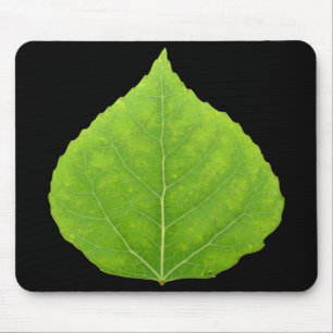 Mousepad Folha Verde Aspen #11