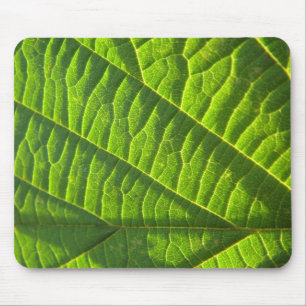 Mousepad Folha verde Legal