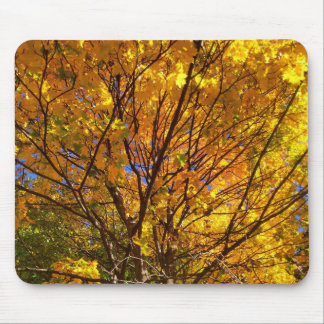 Mousepad Folhagem Amarela de Outono