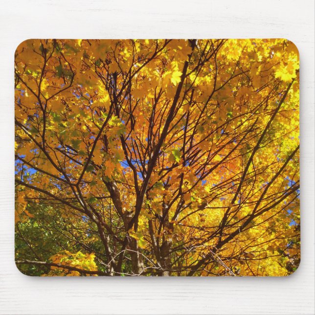 Mousepad Folhagem Amarela de Outono (Frente)