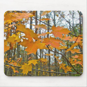 Mousepad Folhagem de Mapeamento de Outono