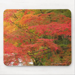 Mousepad Folhagem de outono japonês