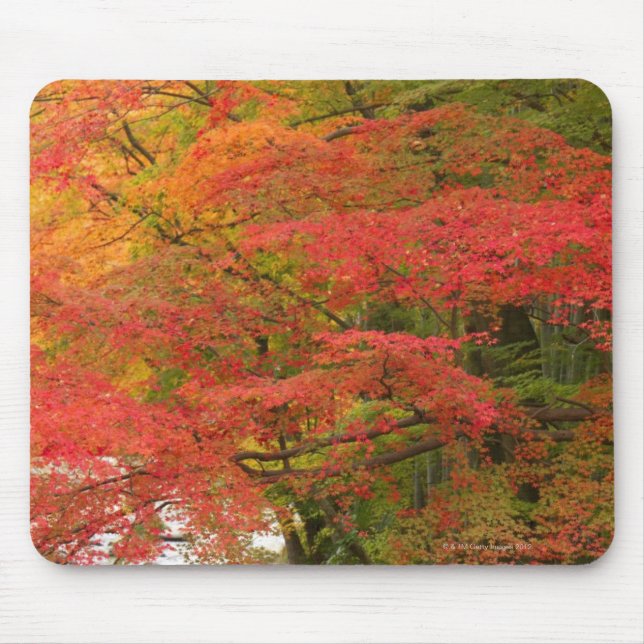 Mousepad Folhagem de outono japonês (Frente)