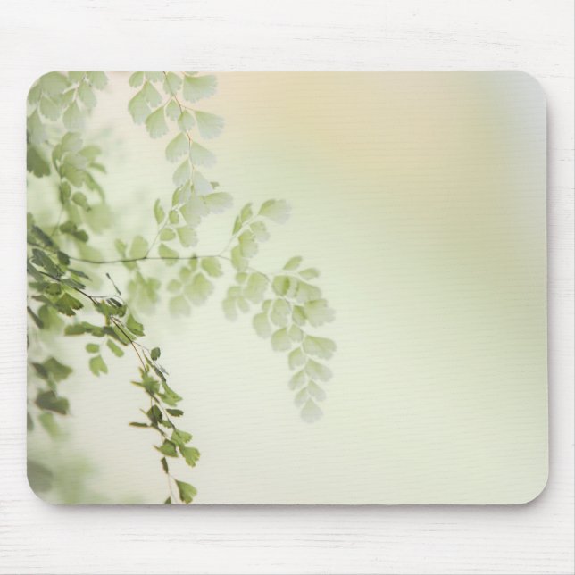 Mousepad Folhagem primavera (Frente)