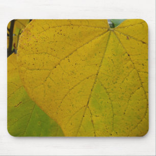 Mousepad Folhas Amarelas de Redbud Outono Fotografia da Nat