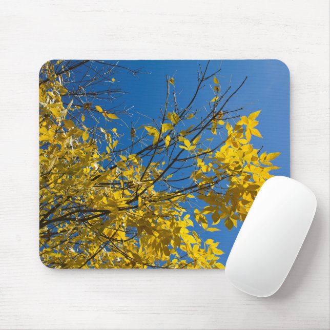 Mousepad Folhas amarelas na fotografia de queda da árvore d (Com mouse)