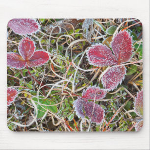 Mousepad Folhas cobertas de geada, Canadá