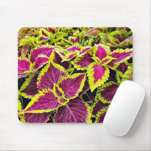 Mousepad Folhas Coloridas de Coleus