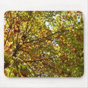 Mousepad Folhas de Árvore de Bordo Verdes e Douradas Mudand