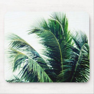 Mousepad Folhas de Árvore Palm