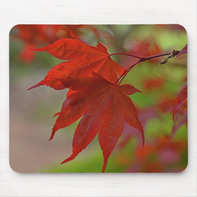 Mousepad Folhas de Árvore Vermelha (Frente)