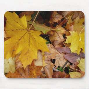 Mousepad Folhas de bordo caídas amarelas de outono natureza