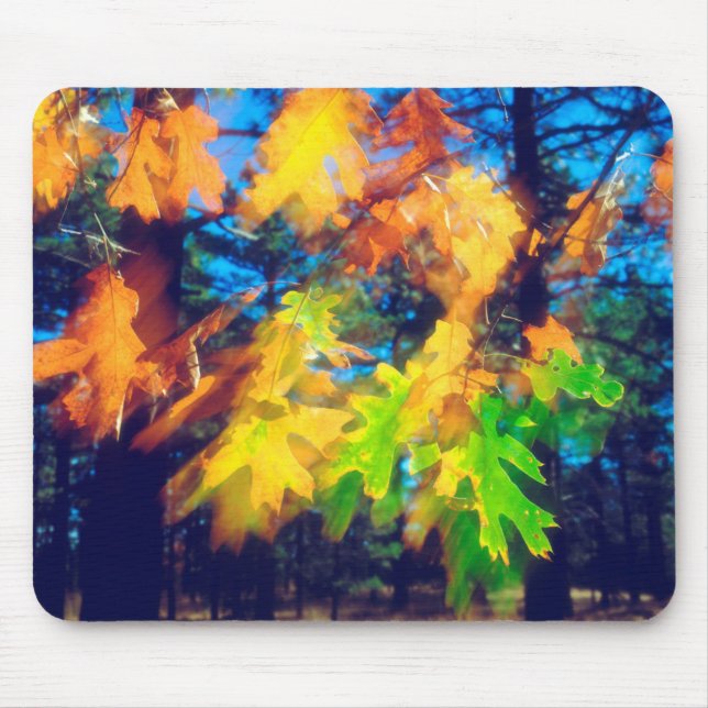 Mousepad Folhas de carvalho preto soprando no vento (Frente)