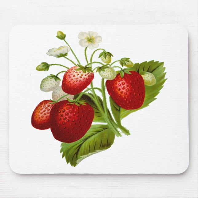 Mousepad Folhas de folhas de fruta de comida (Frente)