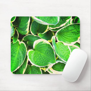 Mousepad Folhas de Hosta primavera verde
