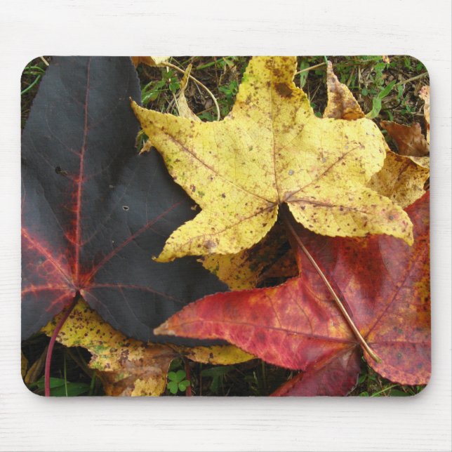 Mousepad Folhas de outono (Frente)