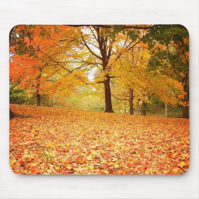 Mousepad Folhas de outono, Central Park, Nova Iorque (Frente)