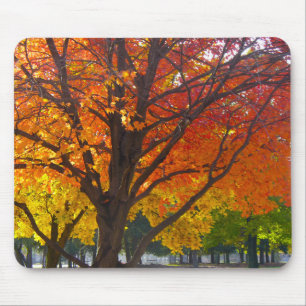 Mousepad Folhas de outono de Foto Amarelo e Laranja