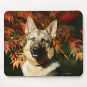 Mousepad Folhas de outono do german shepherd