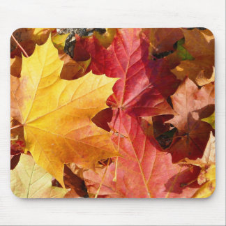 Mousepad Folhas de outono - Incrível!