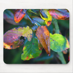 Mousepad Folhas de outono Mousemat
