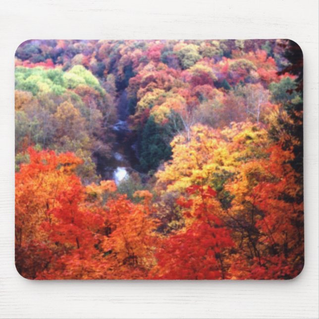 Mousepad Folhas de Outono Mudando de Cor (Frente)