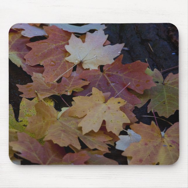 Mousepad Folhas de outono por todo o lado (Frente)