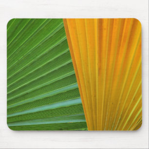 Mousepad folhas-de-palmeira-coloridas por Petr Kratochvil m