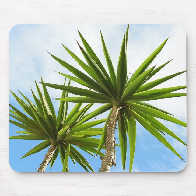 Mousepad Folhas de Palmeira Yucca Tropical com Efeito de Pi (Frente)