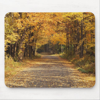 Mousepad Folhas de queda