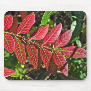 Mousepad Folhas de Sumac no outono