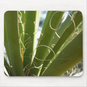 Mousepad Folhas de Yucca Fotografia Verde da Natureza