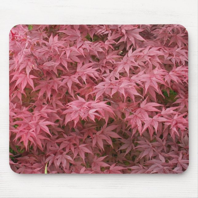 Mousepad folhas do palmatum de Acer (Frente)
