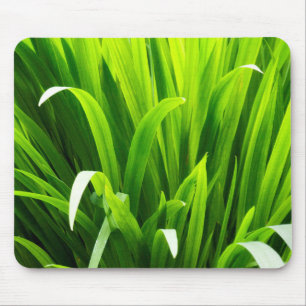 Mousepad Folhas Iluminadas por Trás no Jardim