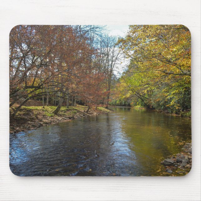 Mousepad Folhas Sunlit Coloridas Refletem Fluxo de Outono (Frente)