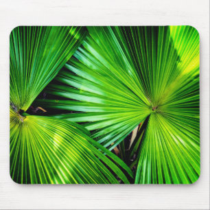Mousepad Folhas tropicais